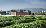 Rethinking the Countryside