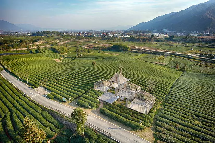 Rethinking the Countryside