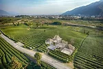 Rethinking the Countryside