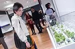 Cooper Hewitt Show