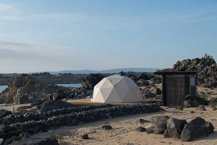 World Architecture Festival