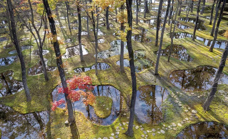 2019 Serpentine Pavilion