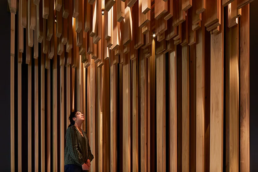 David Adjaye