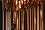 David Adjaye
