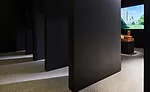 David Adjaye
