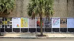 Arch League Emerging Voices