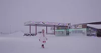 The Human Shelter