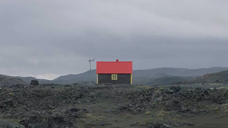 The Human Shelter