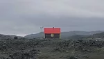 The Human Shelter