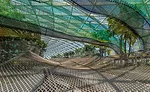 Jewel Changi Airport