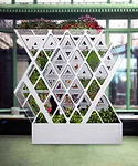 CH Design Tri