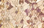 CH Design Tri