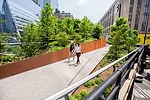 High Line