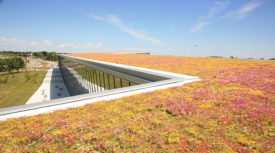 Ways to Design a Fire-Resistant Green Roof System