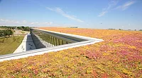 Ways to Design a Fire-Resistant Green Roof System