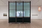 MoMA