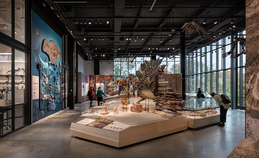 Burke Museum