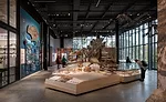 Burke Museum