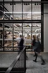 Burke Museum