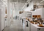 Burke Museum
