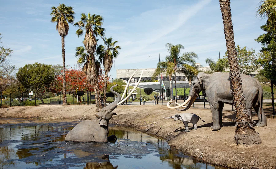 La Brea Tar Pits Weiss Manfredi