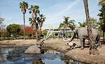 La Brea Tar Pits Weiss Manfredi