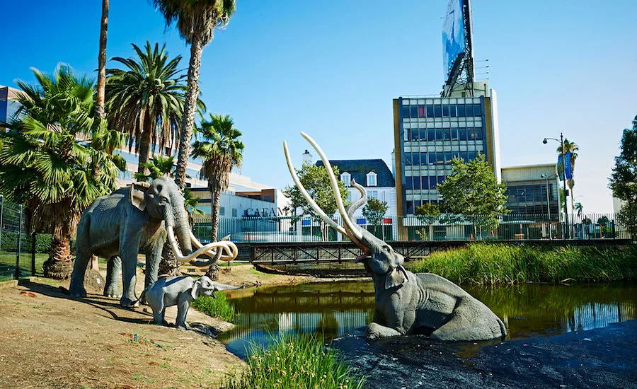 La Brea Tar Pits Weiss Manfredi