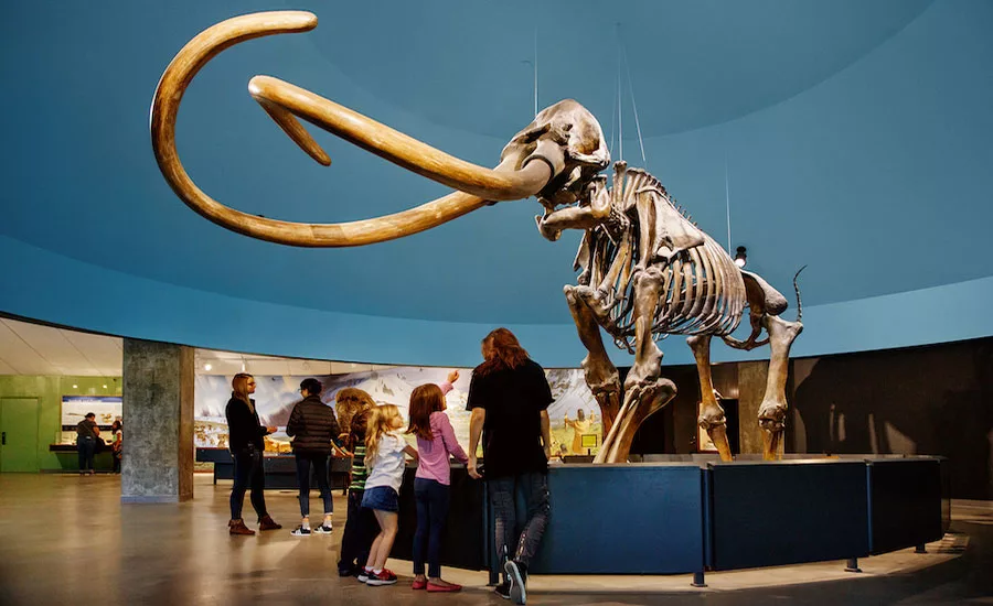 La Brea Tar Pits Weiss Manfredi