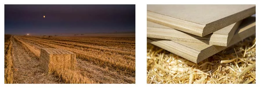 CalPlant’s Building Green Award-winning MDF (right) is made from rice straw (shown left), which farmers had mostly been discarding until now.