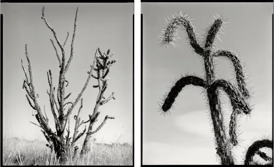 Nick Merrick Photo