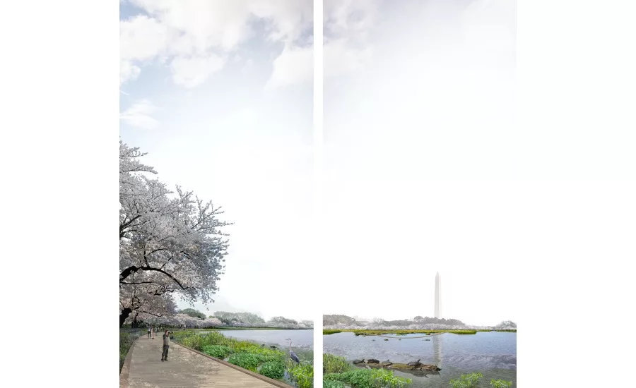 Tidal-Basin-Competition-5