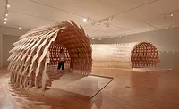 Botanical Pavilion 2020-01