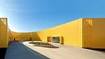 AIA-Gold-Brooks-Scarpa-2.jpg