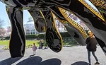 2-Yayoi-Kusama-NYBG-Photo-Danica-O-Kus-003.jpeg