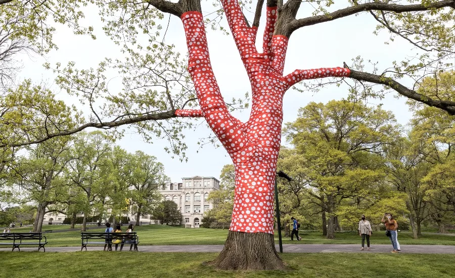 3-Yayoi-Kusama-2NYBG-Photo-Danica-O-Kus-032.jpeg