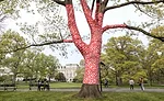 3-Yayoi-Kusama-2NYBG-Photo-Danica-O-Kus-032.jpeg