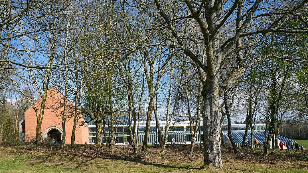 Burrell-Collection-3