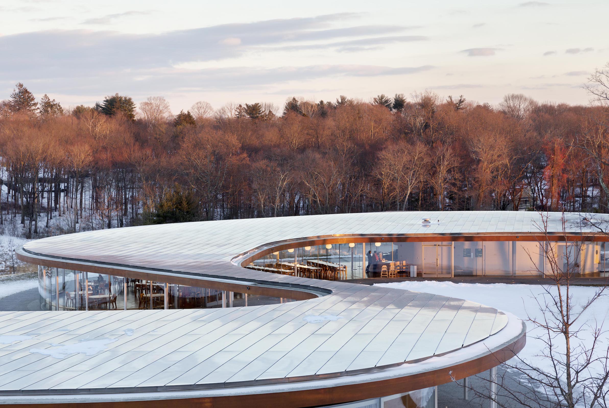 Grace Farms Roof