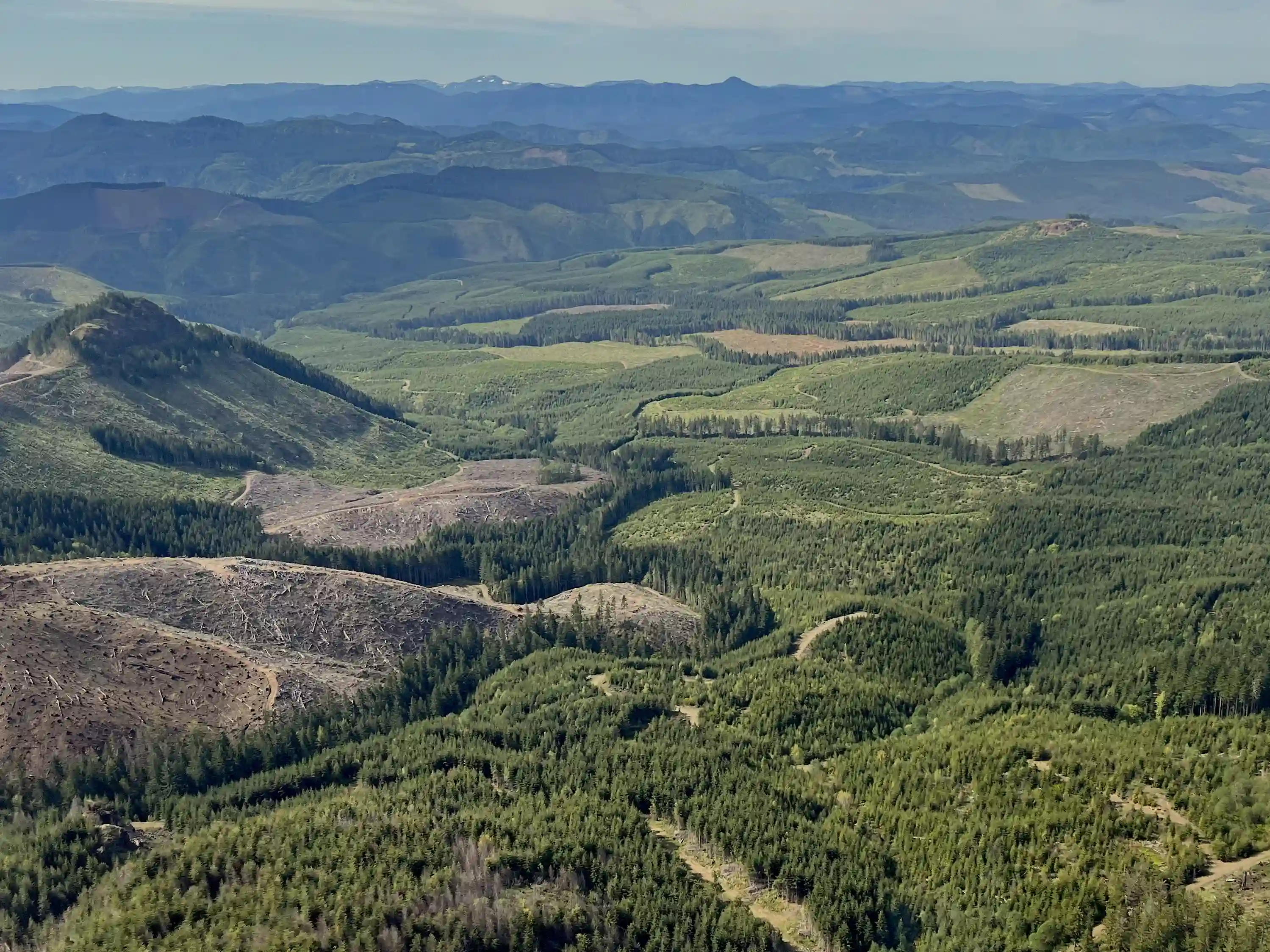 Vista aérea da floresta de Oregon.