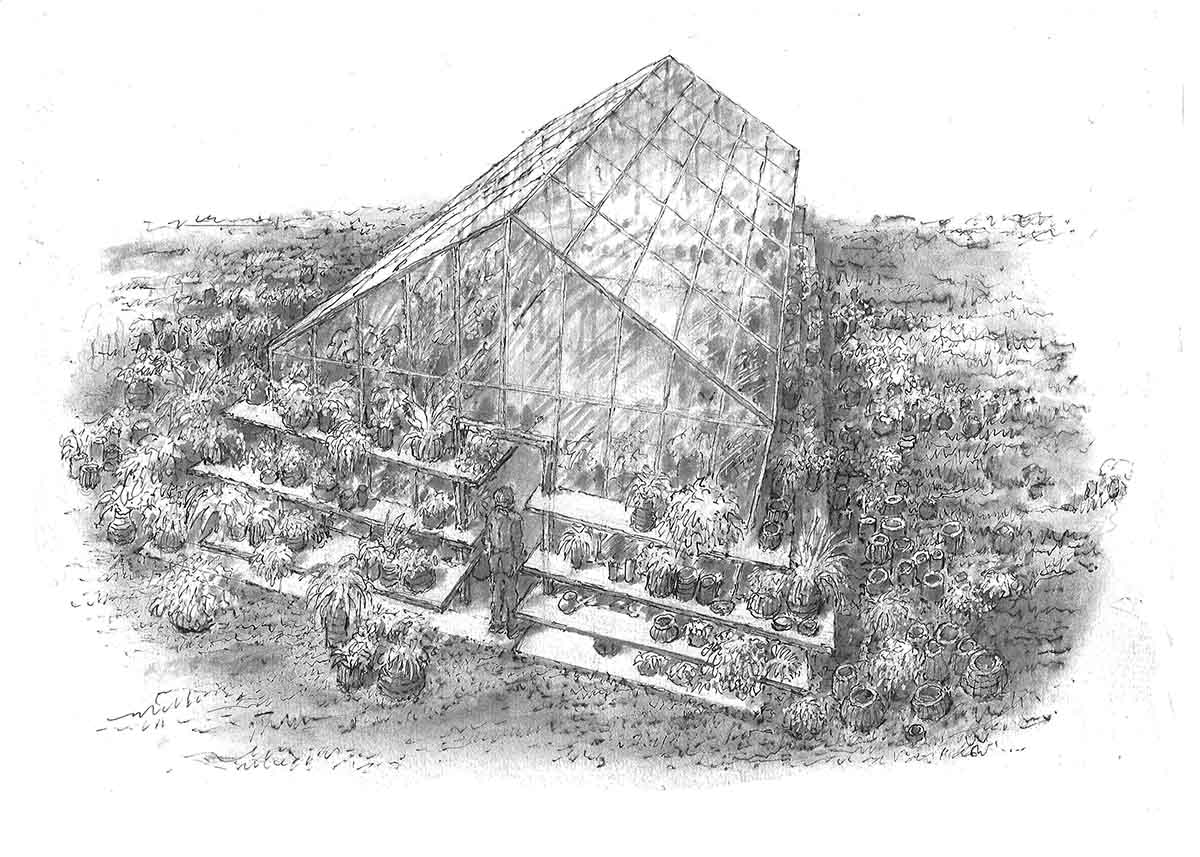 Greenhouse sketch