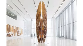 SFMOMA-Oxman-1*.jpg