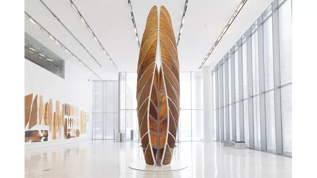 SFMOMA-Oxman-1*.jpg