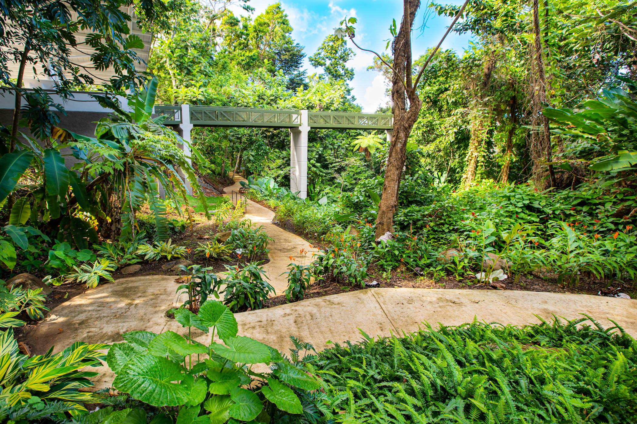 El Portal Garden.