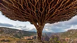 World-Monument-Fund-Watch-25.jpg