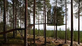 TreeHotel Tham Videgard.jpg