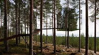 TreeHotel Tham Videgard.jpg