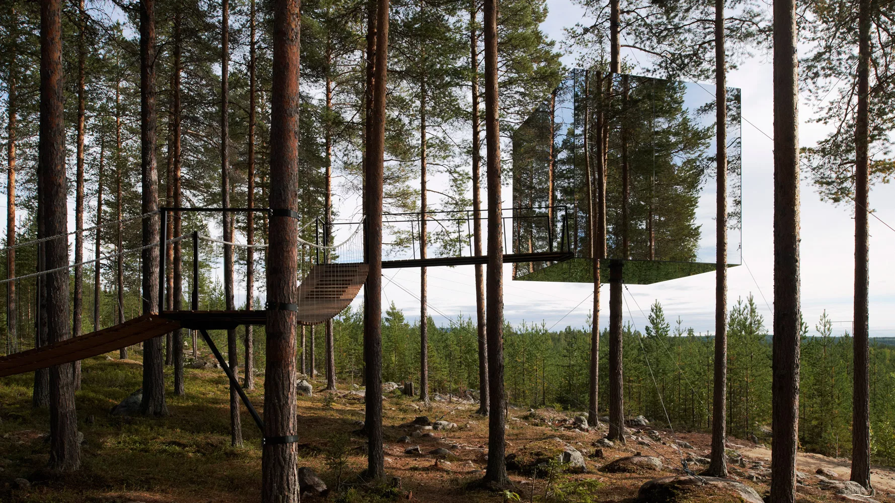 TreeHotel Tham Videgard.jpg