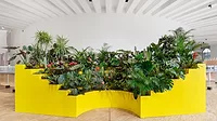 CelineBaumann_@Melania Dalle Grave-DSL Studio_MG_3885-Modifica-min.jpg a colorful yellow form filled with plans