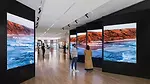 International African American Museum, Charleston