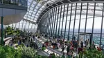 20 Fenchurch Street, rooftop garden